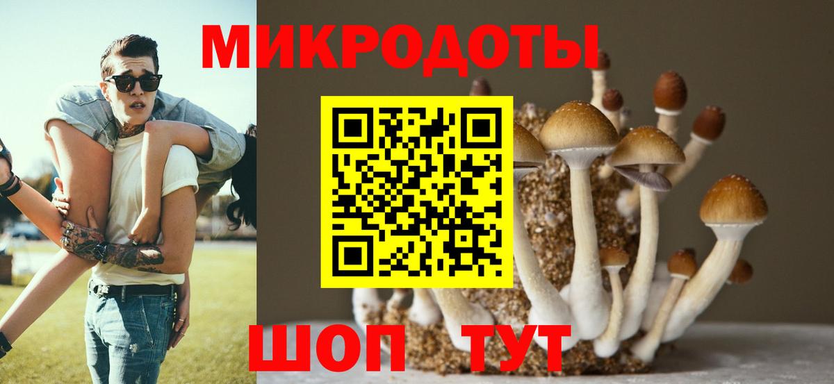 Псилоцибиновые грибы GOLDEN TEACHER Касимов