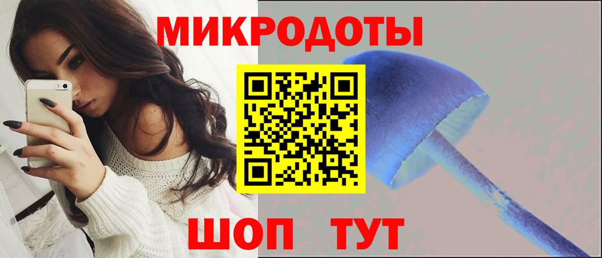 Касимов  Псилоцибиновые грибы MAGIC MUSHROOMS  Вход с VPN  Псилоцибиновые грибы Cubensis 